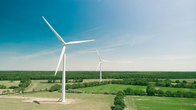 Wind turbines rising above green farmland.